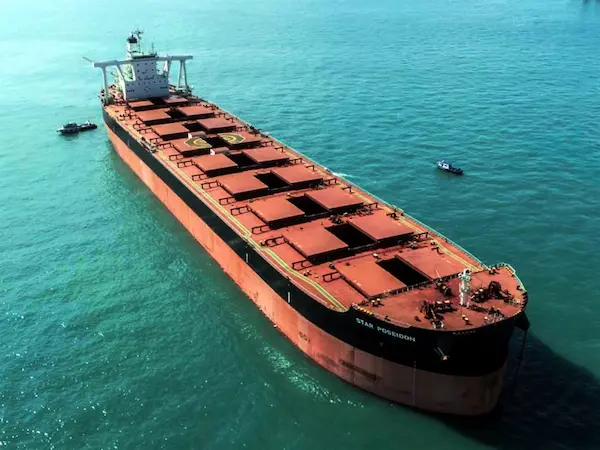 Buques graneleros (bulk carriers)
