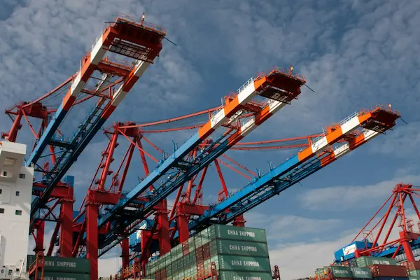 ¿Para quién es clave optimizar la importación de productos