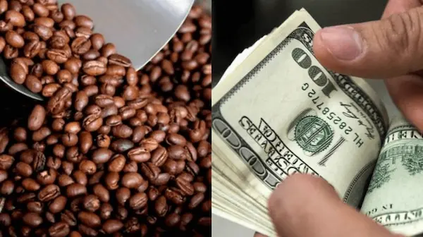 Cómo asegurar la calidad del café durante la exportación