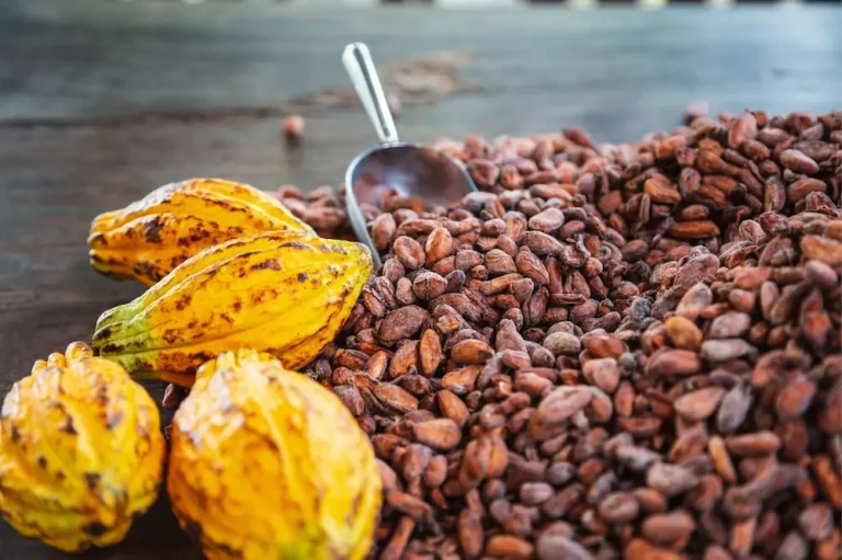Exportación de café Guía completa para llevar tu producto a mercados internacionales