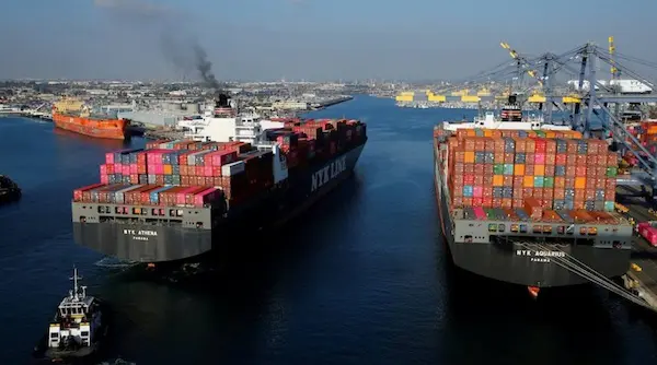 Innovación y sostenibilidad en la cadena exportadora