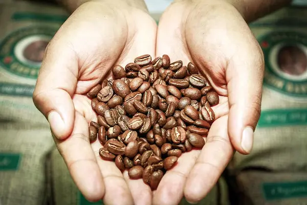 Proceso paso a paso para la exportación de café
