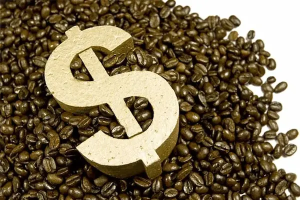Qué necesitas saber antes de exportar café