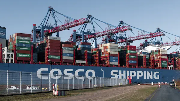 Estrategias avanzadas de comercialización y canales de distribución