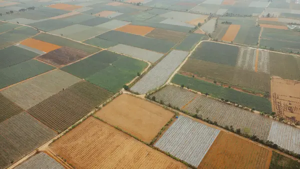 Logística avanzada aplicada a la exportación agrícola