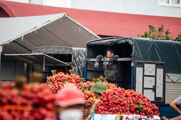 Checklist para una primera exportación