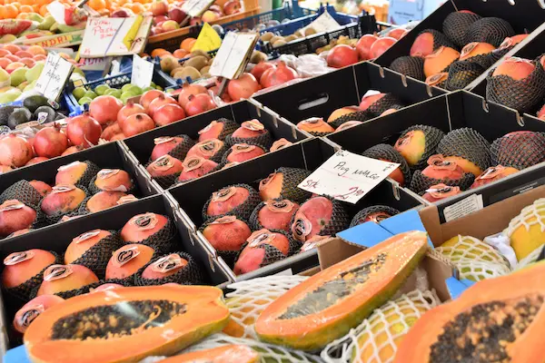 Cómo exportar frutas desde Perú: guía completa paso a paso