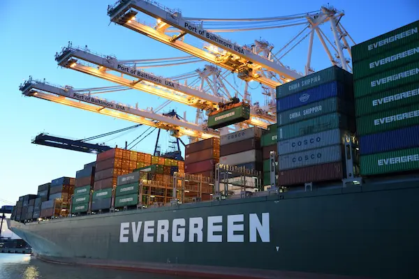 La cadena de frío en la exportación de palta