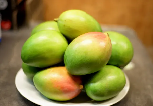 Cómo organizar la exportación de mango paso a paso